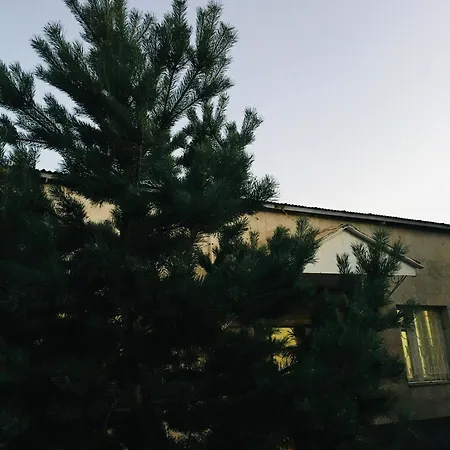 Dream House Villa Tsaghkadzor Exterior photo